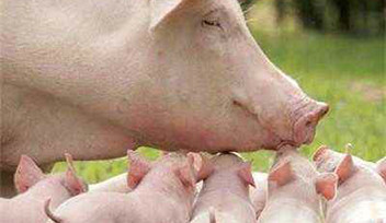 【重要提示】天涼好個秋，當心“附”和“弓”