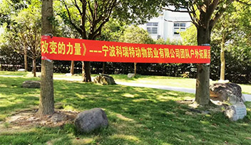 改變的力量|寧波科瑞特開展戶外拓展活動(dòng)